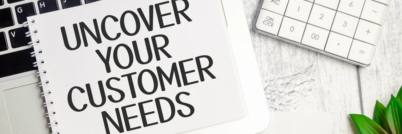 Anticipating Client Needs Proactive Strategies for LongTerm Success in Real Estate Ivy Chestnut